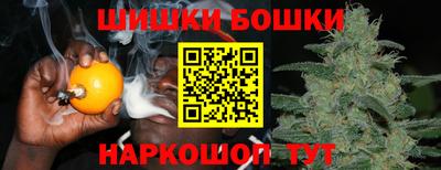 прущие крисы Кингисепп
