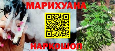 прущие крисы Кингисепп