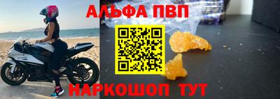 прущие крисы Кингисепп