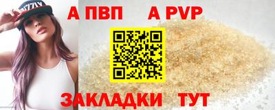 прущие крисы Кингисепп