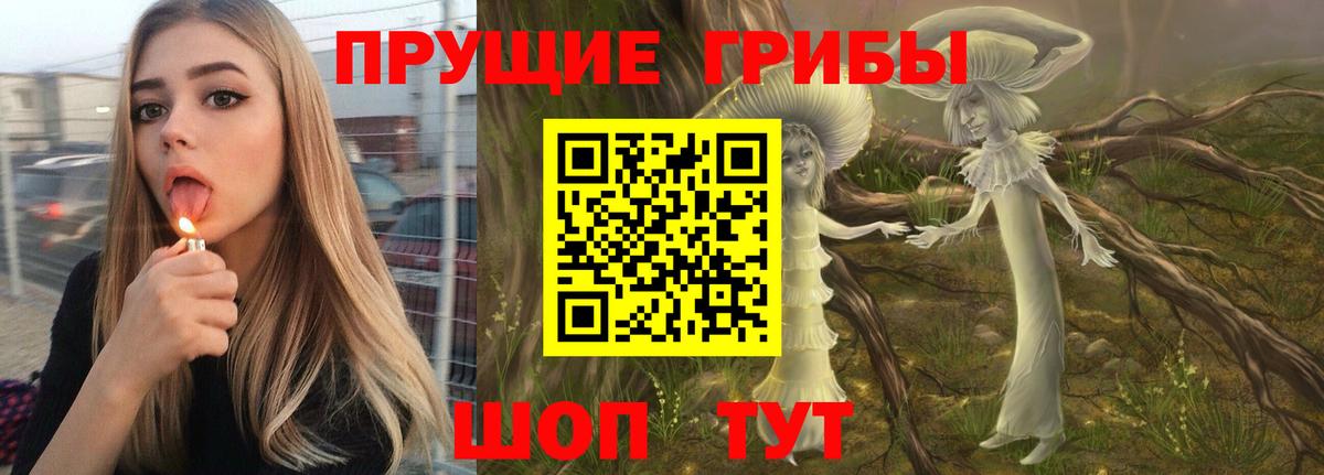 Галлюциногенные грибы Cubensis  Вход с VPN  Киселёвск 